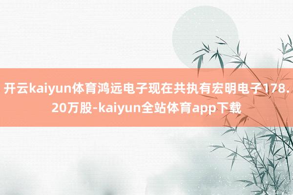 开云kaiyun体育鸿远电子现在共执有宏明电子178.20万股-kaiyun全站体育app下载