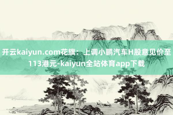 开云kaiyun.com花旗：上调小鹏汽车H股意见价至113港元-kaiyun全站体育app下载