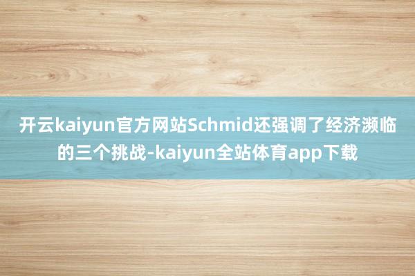 开云kaiyun官方网站 Schmid还强调了经济濒临的三个挑战-kaiyun全站体育app下载